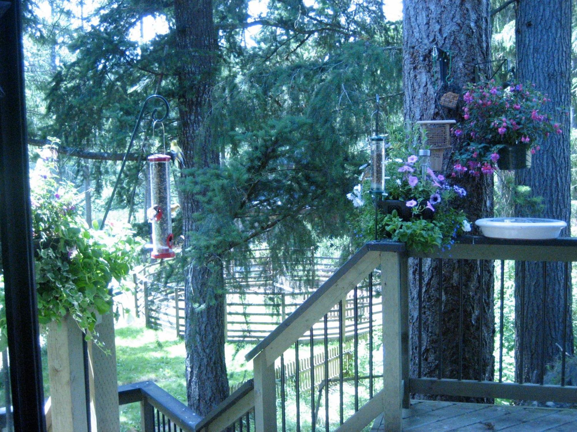 Misty Meadows B&B Langford Exteriér fotografie