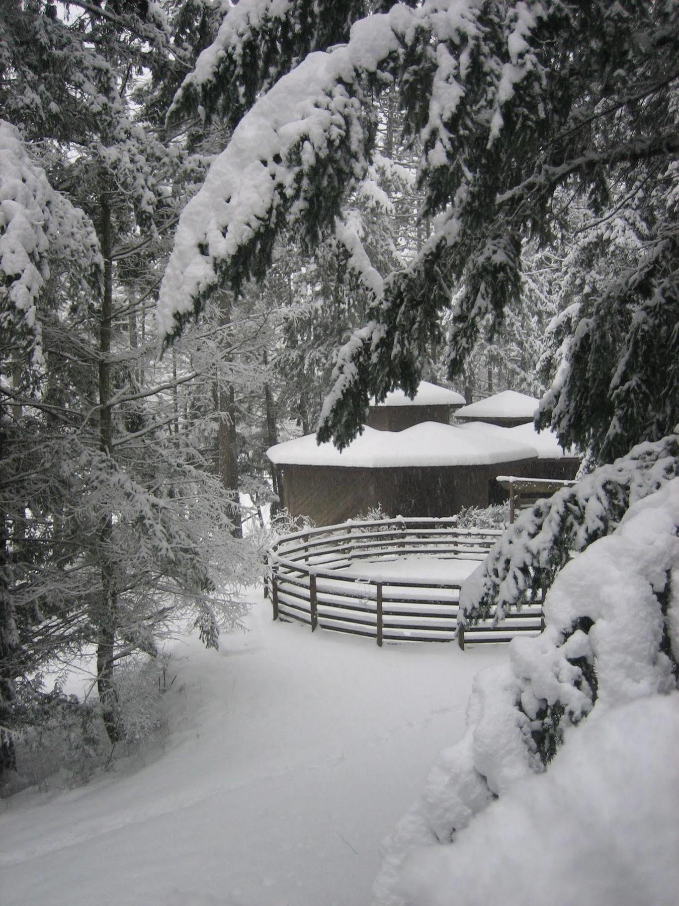 Misty Meadows B&B Langford Exteriér fotografie